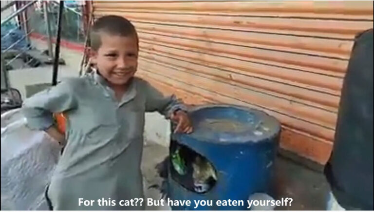 Care at its best: Poor boy spent all he had on cat milk