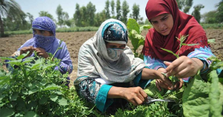 Pakistan’s rural women highest economic contributor having fewer rights; Study