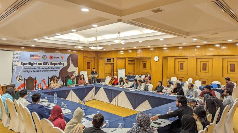 Empowering Media for Gender Justice: GNMI Shines ‘Spotlight on GBV Reporting’ Workshop Series