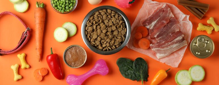 A Guide to Pet Food Ingredients