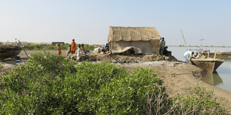 Rains and Rising Water Levels Boost Indus Delta’s Survival and Livelihoods